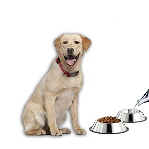 Кутия за кучета от неръждаема стомана, купа за кучета, неръждаема стомана