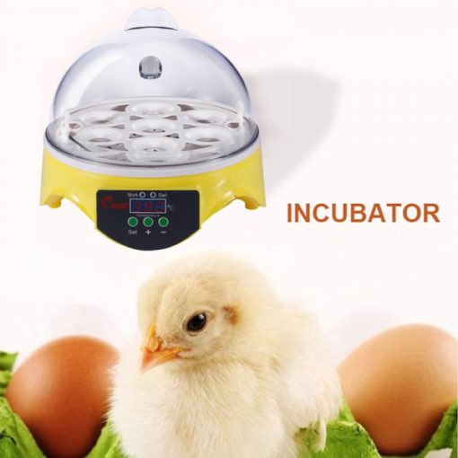 Мини инкубатор за яйца, инкубатор за яйца, мини яйца