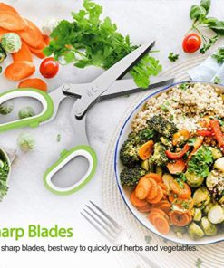 Blade Scissors,5 Blade Scissors