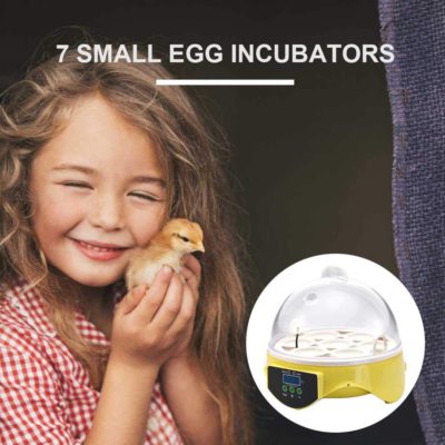 Mini Egg Incubator,Egg Incubator,Mini Egg
