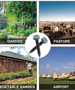 Ultrasonic Pest Reject,Pest Reject,Ultrasonic Pest