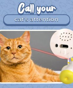 Rooster Type Laser Cat Toy,Rooster Type,Laser Cat Toy,Cat Toy