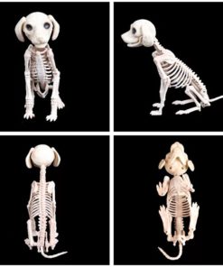 Animated Two Headed Skeleton Dog,Skeleton Dog,Animated Two Headed,Two Headed Skeleton Dog,Two Headed Skeleton