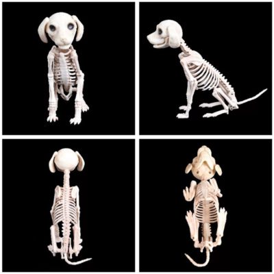 Animated Two Headed Skeleton Dog,Skeleton Dog,Animated Two Headed,Two Headed Skeleton Dog,Two Headed Skeleton