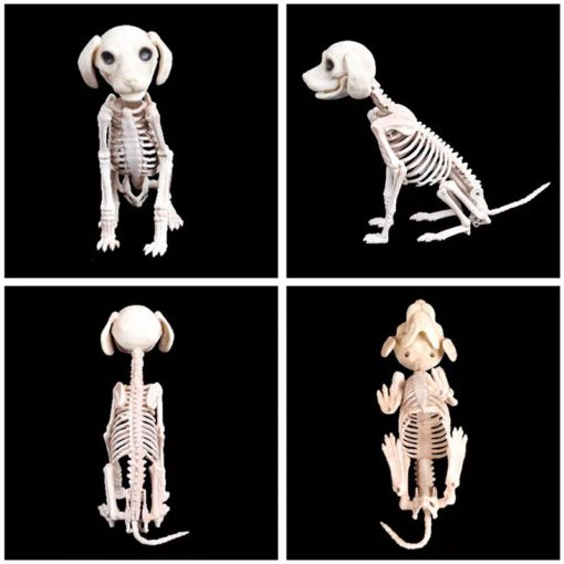Animerad tvåhuvudskeletthund, skeletthund, animerad tvåhuvud, tvåskallad skeletthund, tvåhuvudskelett