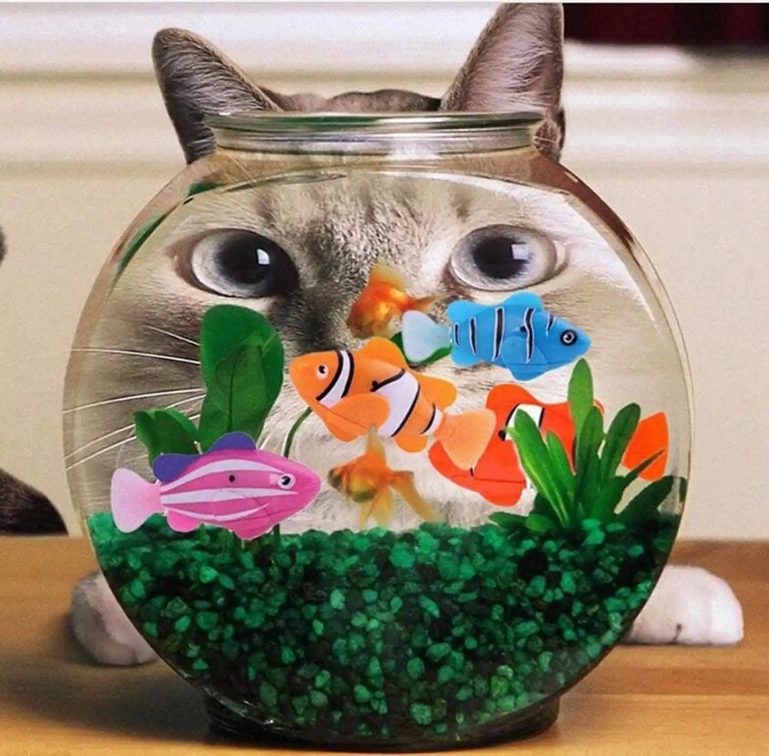 Robo Fish,Fish Toy