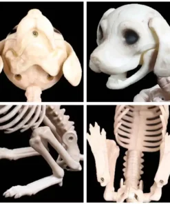 Animated Two Headed Skeleton Dog,Skeleton Dog,Animated Two Headed,Two Headed Skeleton Dog,Two Headed Skeleton