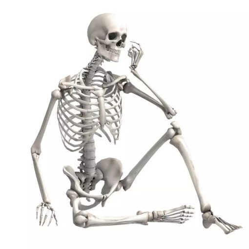 Skeleton Dog, Heather Skeleton Dog