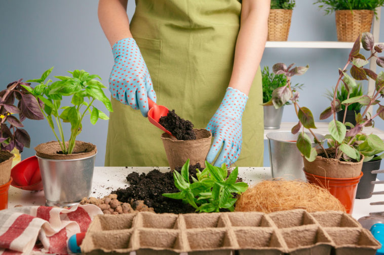 gardening hacks,gardening tips,gardening tip,gardening tips and tricks,gardening