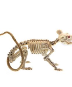 Animals Skeleton,Skeleton Ornament,Ornament Decor