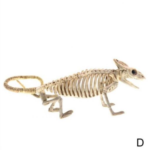 Скелет на животни, орнамент от скелет, декор на орнамент