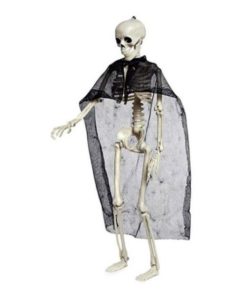 Animals Skeleton,Skeleton Ornament,Ornament Decor