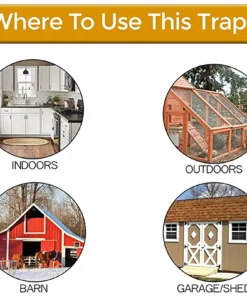 Bucket Mouse Trap,Mouse Trap,Flip N Slide,N Slide,Flip N