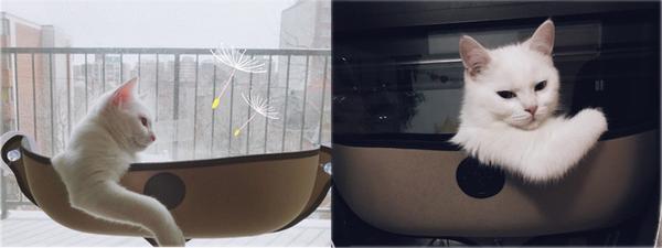 Cat Window Bed Hammock,Cat Window Bed,Window Bed Hammock,Window Bed,Cat Window