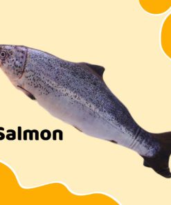 Chotatuna Floppy Moving Fish Toy,Floppy Moving Fish Toy,Moving Fish Toy,Fish Toy,Chotatuna Floppy Moving