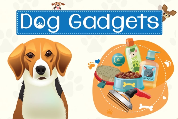 Cool Dog Gadgets,dog gadgets,cool dog
