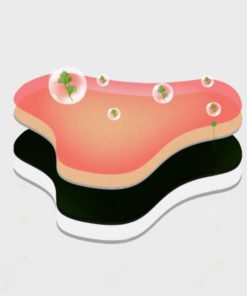 DowagerHump NeckDrain Patch