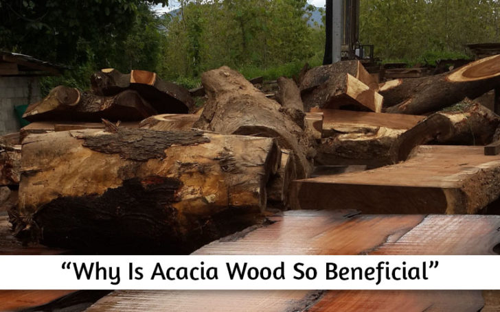 Acacia Wood