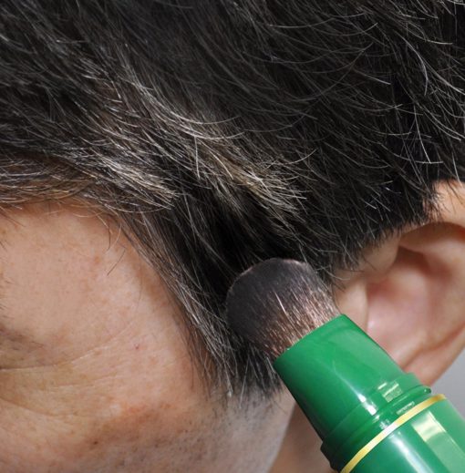 Panamkon nga Panamtang, Herbal nga Pagkawala sa Buhok, Herbal Hair Loss Concealer Pen