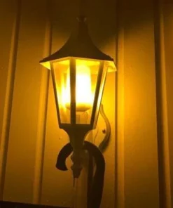 LED Flame Effect Light Bulb,Flame Effect Light Bulb,Light Bulb,LED Flame Effect