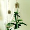 Modern Light Bulb,Bulb Planter,Light Bulb Planter,Light Bulb,Modern Light