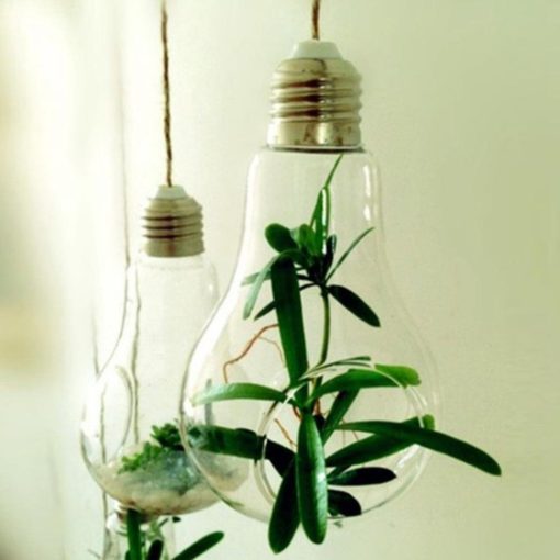 Modern Light Bulb, Bulb Planter, Light Bulb Planter, Light Bulb, Modern Light