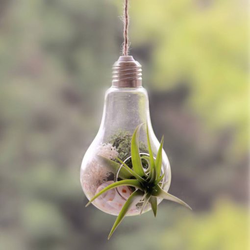 Modern Light Bulb, Bulb Planter, Light Bulb Planter, Light Bulb, Modern Light