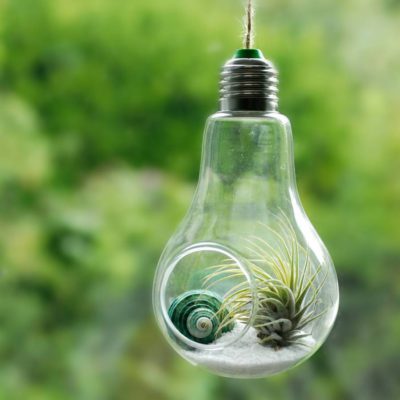 Modern Light Bulb,Bulb Planter,Light Bulb Planter,Light Bulb,Modern Light