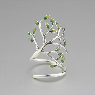 Olive Tree,Tree Ring,Olive Tree Ring