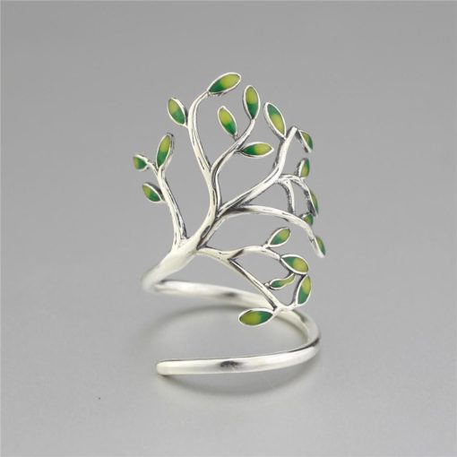 Olive Tree, Tree Ring, Olive Tree Ring