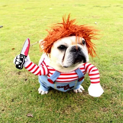 Kostum Anjing Chucky, Kostum Anjing, Anjing Chucky, Halloween Doll Mati, Halloween