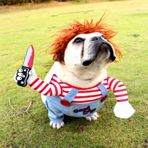 Disfressa de gos Chucky, disfressa de gos, gos Chucky, nina Deady de Halloween, Halloween