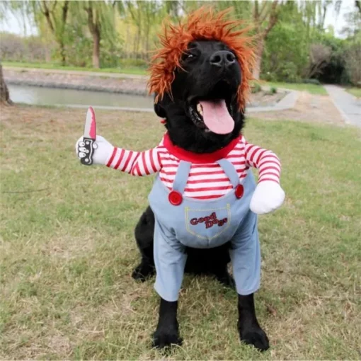 Chucky šunų kostiumas, šunų kostiumas, Chucky dog, Halloween Deady Doll, Halloween