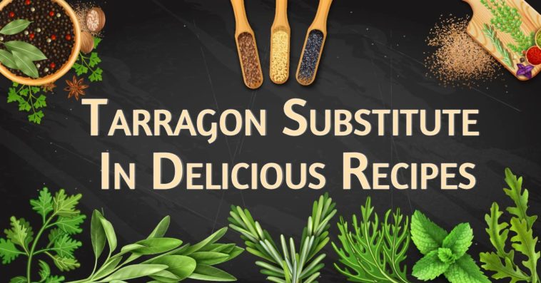 Tarragon Substitute,Fresh Tarragon,Dried Tarragon,Russian Tarragon,Fresh Tarragon Substitute