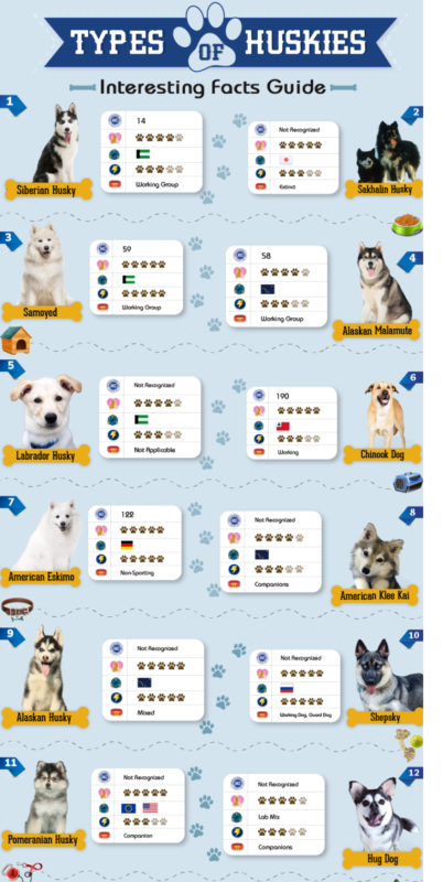 types of huskies