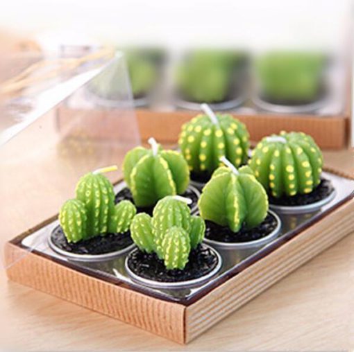 ʻO nā ihoiho Cactus, Nā ihoiho Cactus Mini, Mini Cactus
