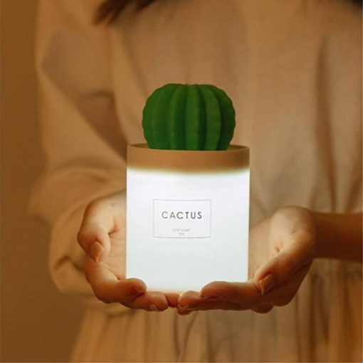 Cactus párásító, párásító lámpa, kaktusz párásító lámpa