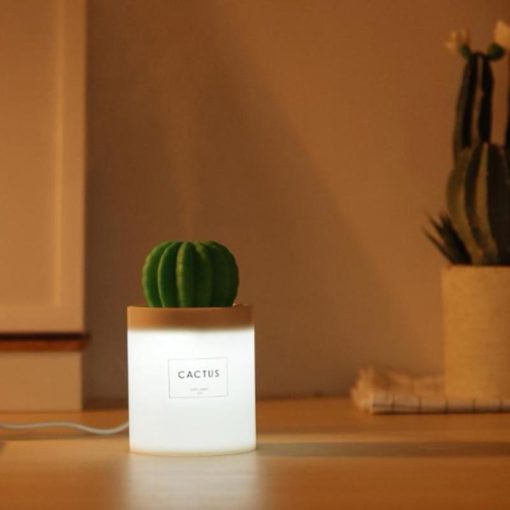 Kaktusový zvlhčovač, lampa zvlhčovača, lampa zvlhčovača kaktusu
