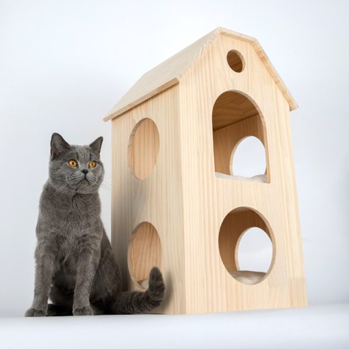 고양이 집, 러닝 머신 타워, 러닝 머신 타워가 있는 캣 하우스