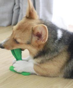 Dog Toothbrush Toy,Toothbrush Toy,Dog Toothbrush