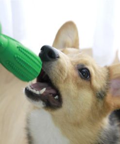 Dog Toothbrush Toy,Toothbrush Toy,Dog Toothbrush