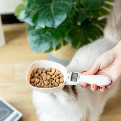 Measuring Scoop,Food Measuring,Pet Food,Pet Food Measuring Scoop
