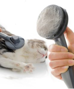 Self-Cleaning Slicker Brush