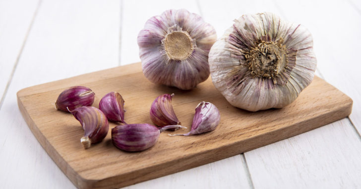 Purple Garlic
