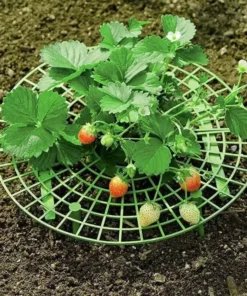 Support Frame,Strawberry Planting,Strawberry Planting Support Frame