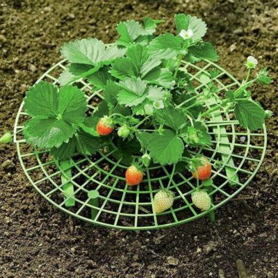 Support Frame,Strawberry Planting,Strawberry Planting Support Frame