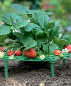 Support Frame,Strawberry Planting,Strawberry Planting Support Frame