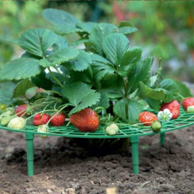 Support Frame,Strawberry Planting,Strawberry Planting Support Frame