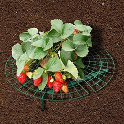 Support Frame,Strawberry Planting,Strawberry Planting Support Frame