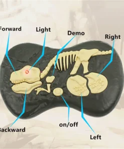 Remote Control Dinosaur,Dinosaur for Children